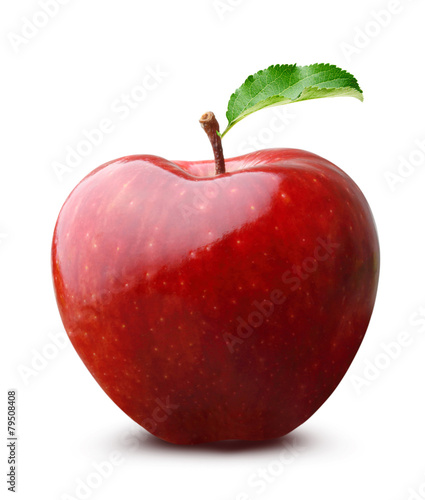 Apple fruit isolated