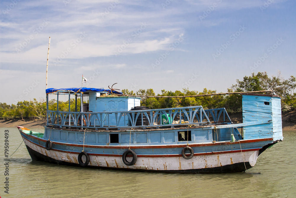 The Sundarbans Stock Photo Adobe Stock