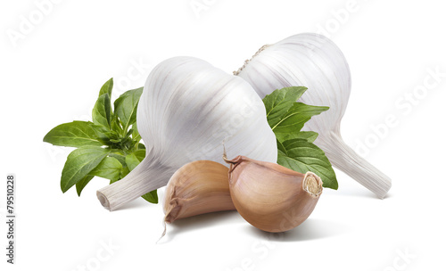 Garlic double basil isolated on white background