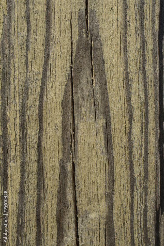 Obraz premium Old wooden board