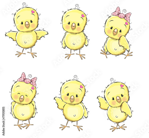 Six chicks