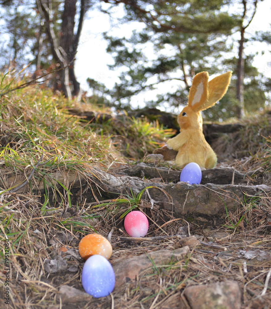 Fototapeta premium Geheimnisse im Wald