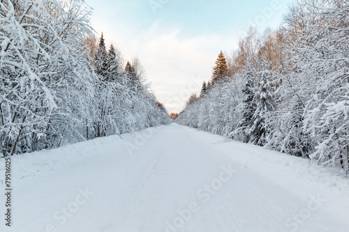 winter landscape snow-covered road © miklyxa