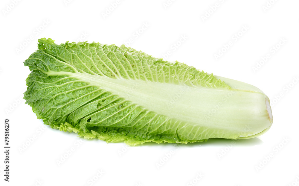 fresh chinese cabbage on a white background fresh chinese cabbage on a white background