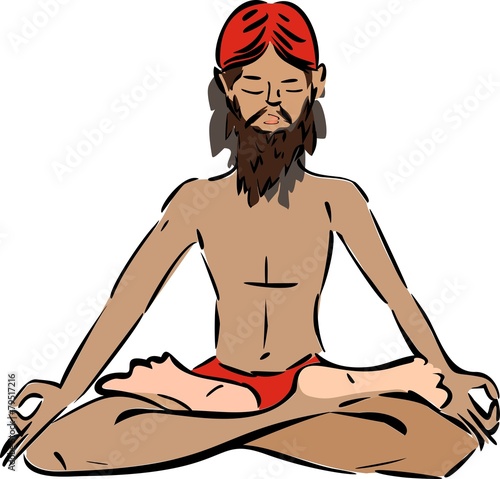 yogi