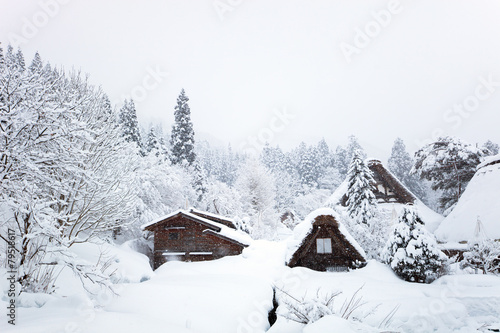 Japanese village at winter