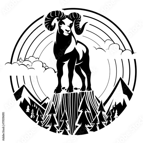 Mountain bighorn sheep.