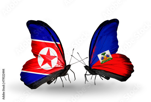 Two butterflies with flags North Korea and Haiti photo