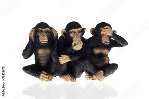 Canvas Print Hear speak see no evil