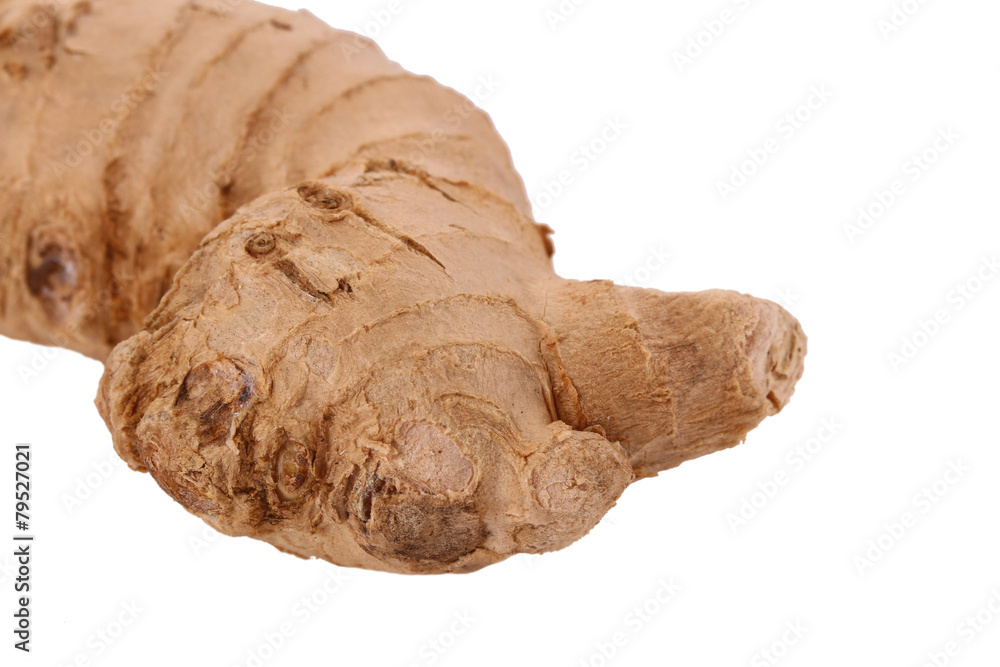 The Ginger root on the white background The Ginger root on the white background