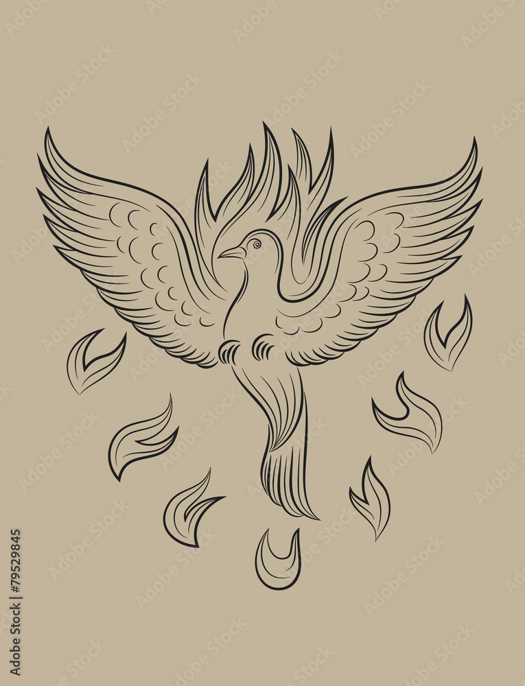 Fototapeta premium Dove Holyspirit fire, art vector sketch drawing
