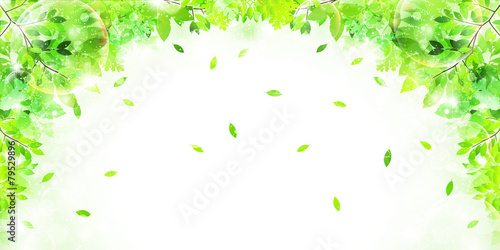 葉　新緑　背景