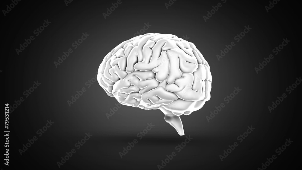 Brain spinning on black background Brain spinning on black background