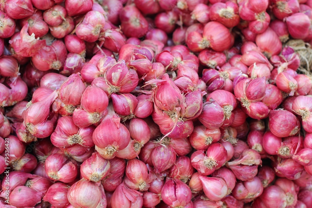 Shallot - asia red onion at the market Shallot - asia red onion at the market