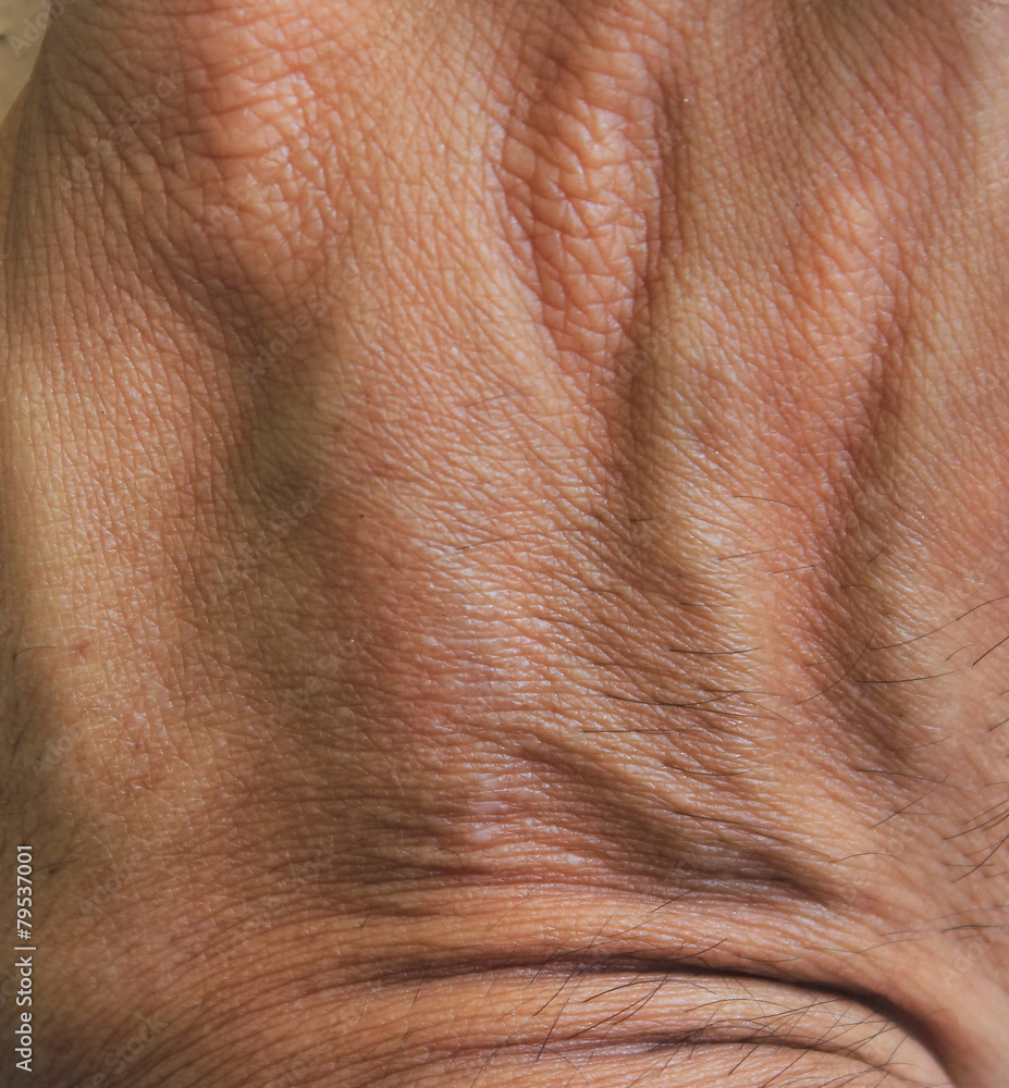 Fototapeta premium human skin texture