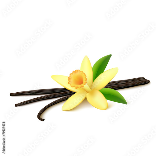 Vanilla pods with flower on white background