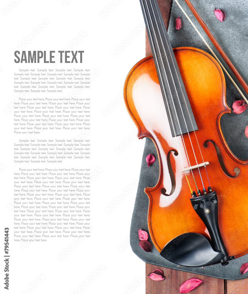 Fototapeta premium Violin
