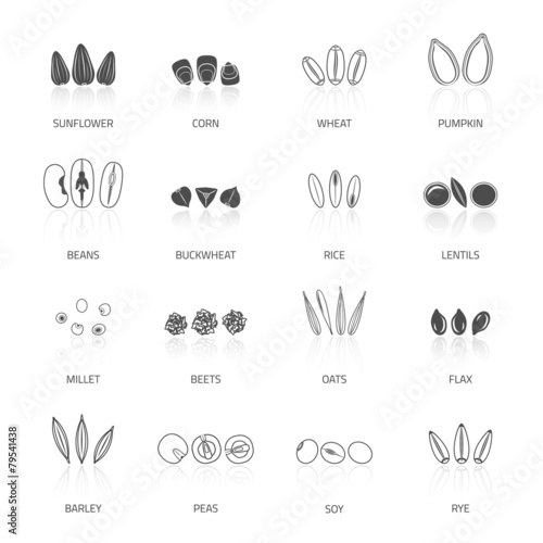 Seed Icon Set