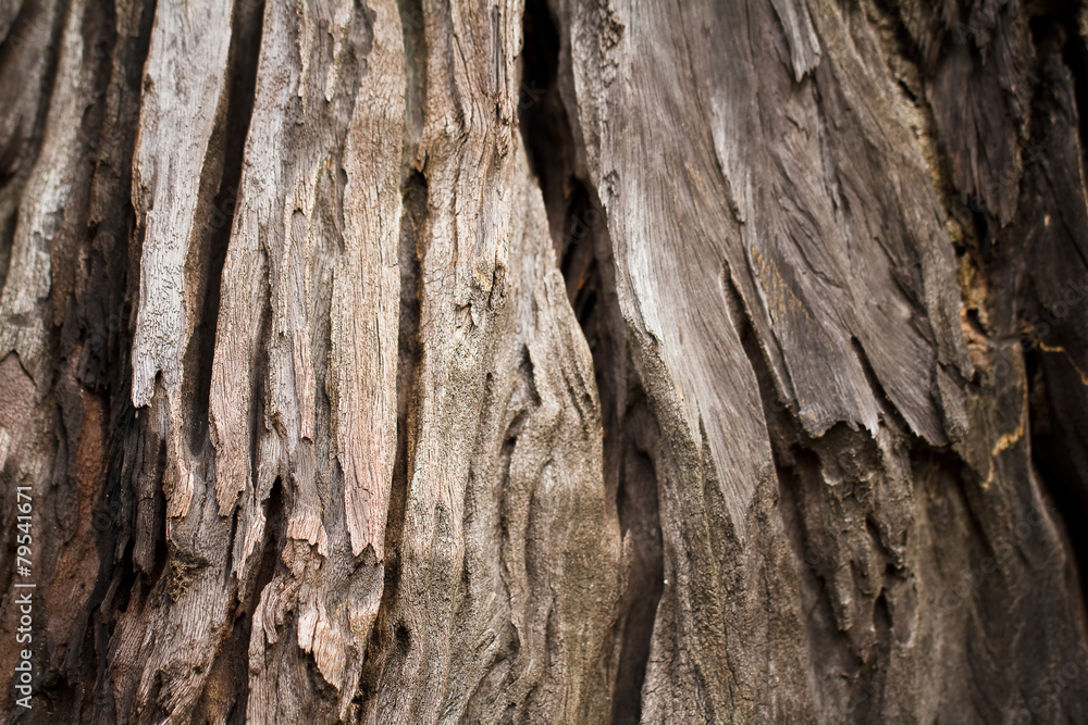 old black wood texture old black wood texture