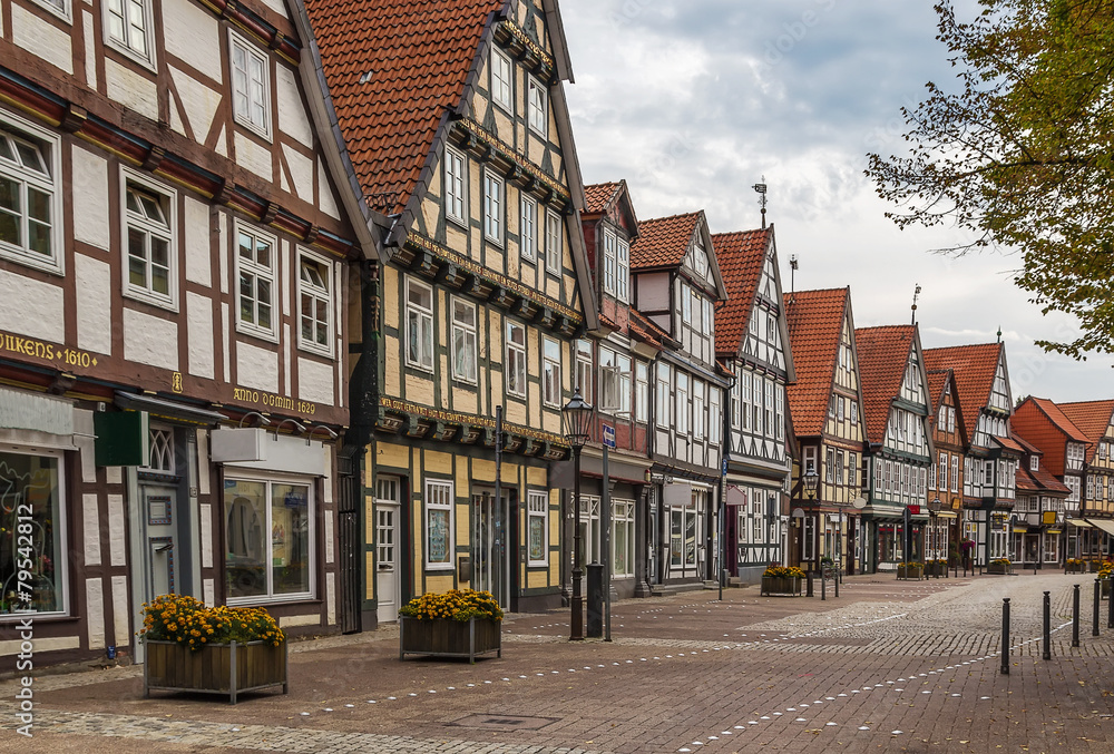 Street in Celle, Germany