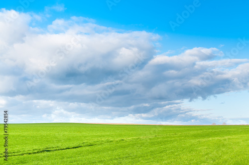 Landwirtschaft, grünes Feld in sonniger Landschaft, Wachstum © mahey
