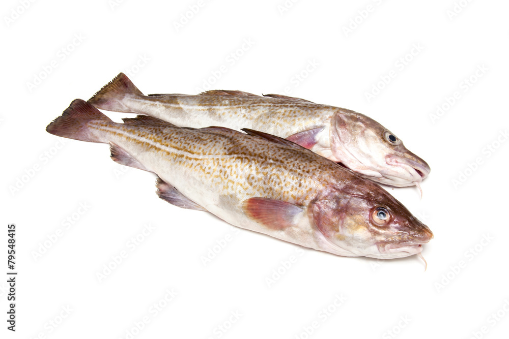 Couple of whole cod fish Couple of whole cod fish