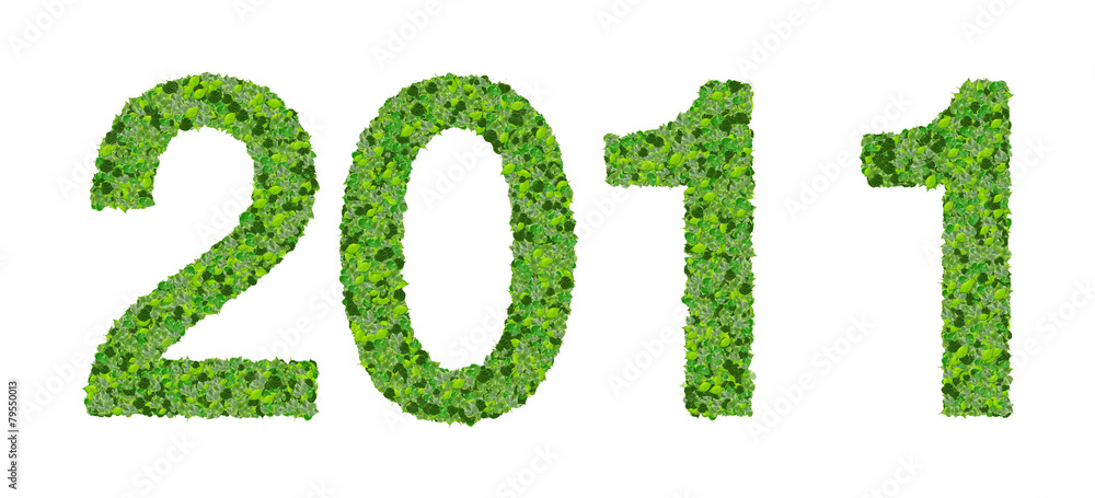 Year 2011, date made from green leaves. Year 2011, date made from green leaves.