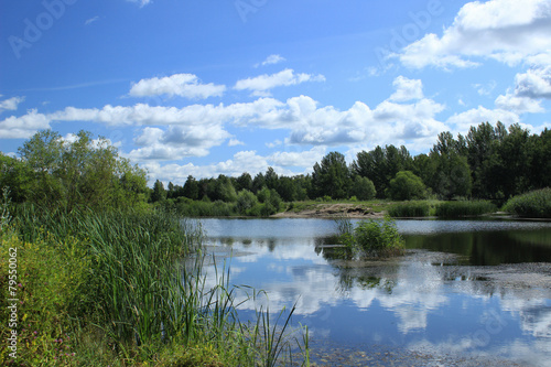 Summer landscape - pond in the park
