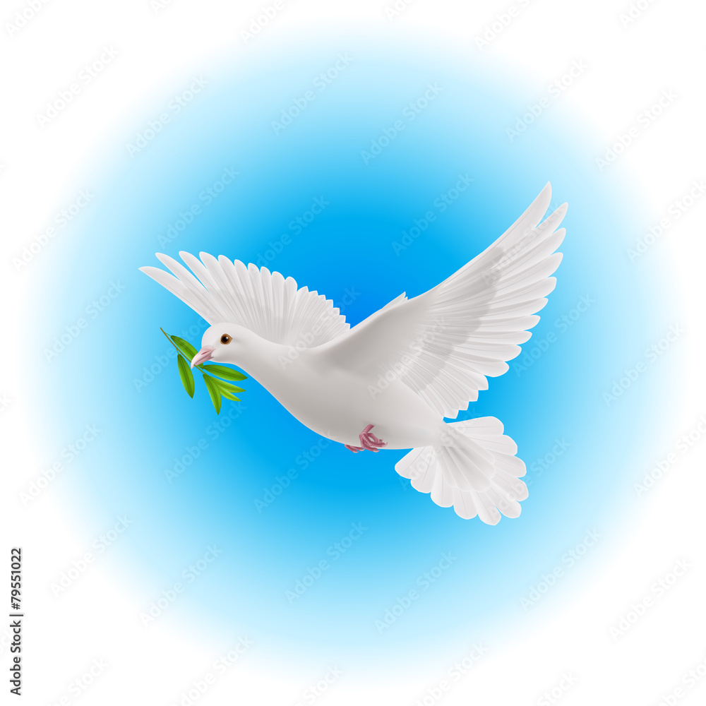 Obraz premium Gołąb pokoju