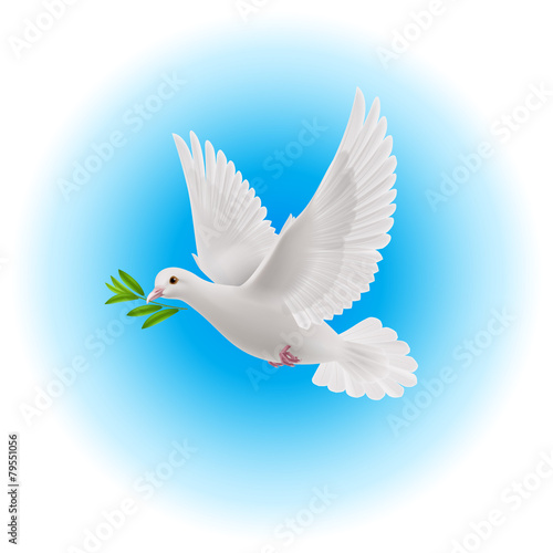 Dove of peace