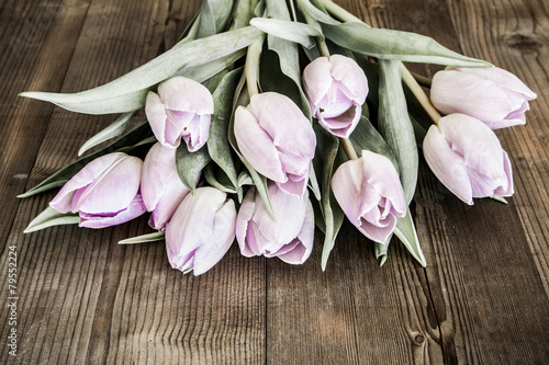 Fototapeta Naklejka Na Ścianę i Meble -  Tulpen