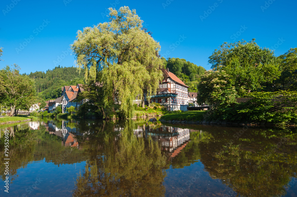 Flößerwiese Schiltach