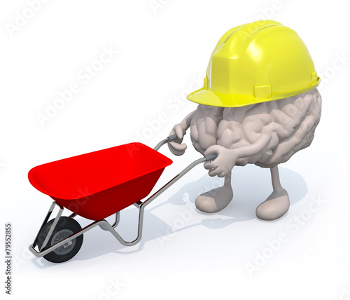brain with arms, legs and workhelmet carries a wheelbarrow photo