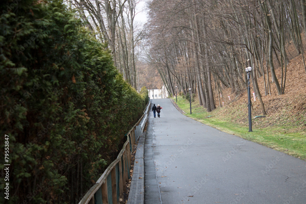 Lovers walking in the park