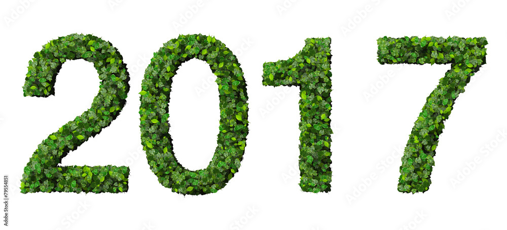 Year 2017, date made from green leaves. Year 2017, date made from green leaves.