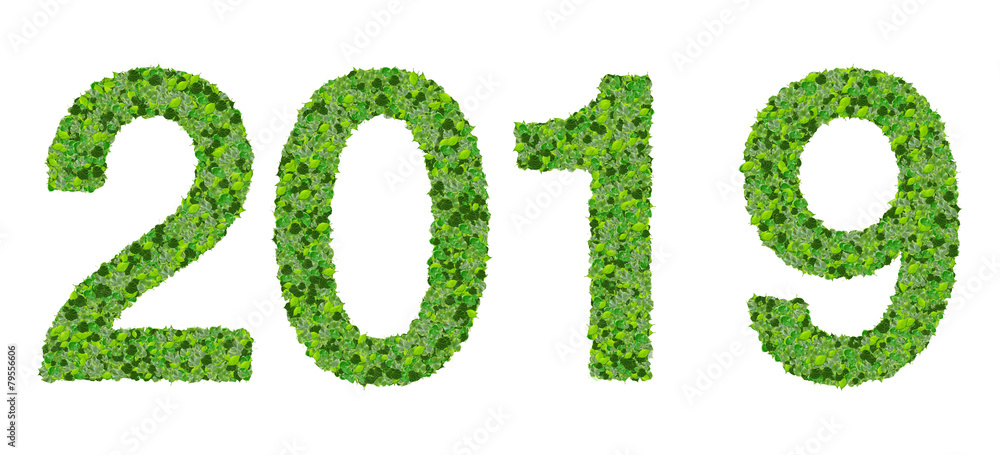 Year 2019, date made from green leaves. Year 2019, date made from green leaves.