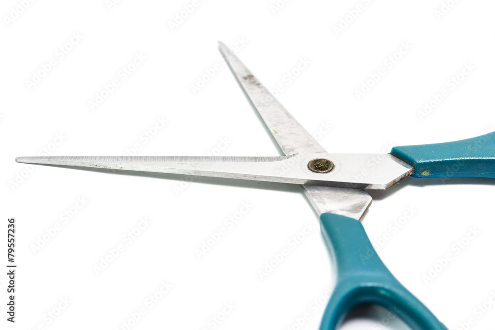 blue scissors blue scissors