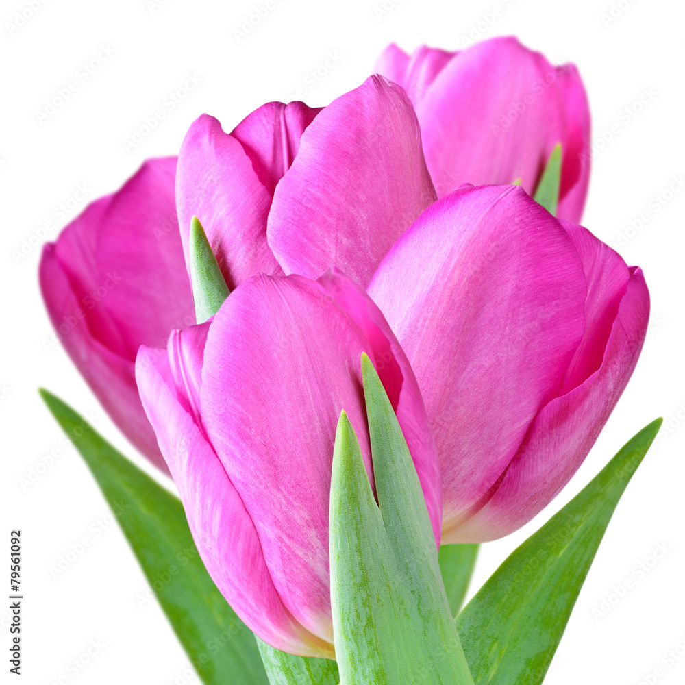 Naklejka premium Floral background