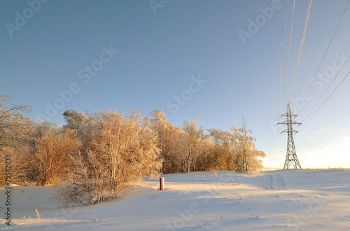 Landscape pole and high voltage wires near the forest