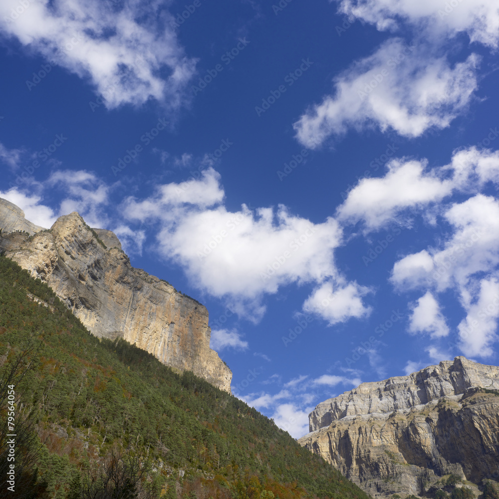 Obraz premium Pyrenees