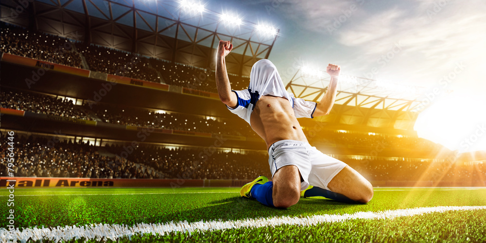 Soccer player in action - obrazy, fototapety, plakaty 