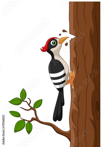 Cartoon woodpecker on a tree