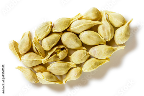 Macro of orange's seeds, or lemon's seeds isolated on white background