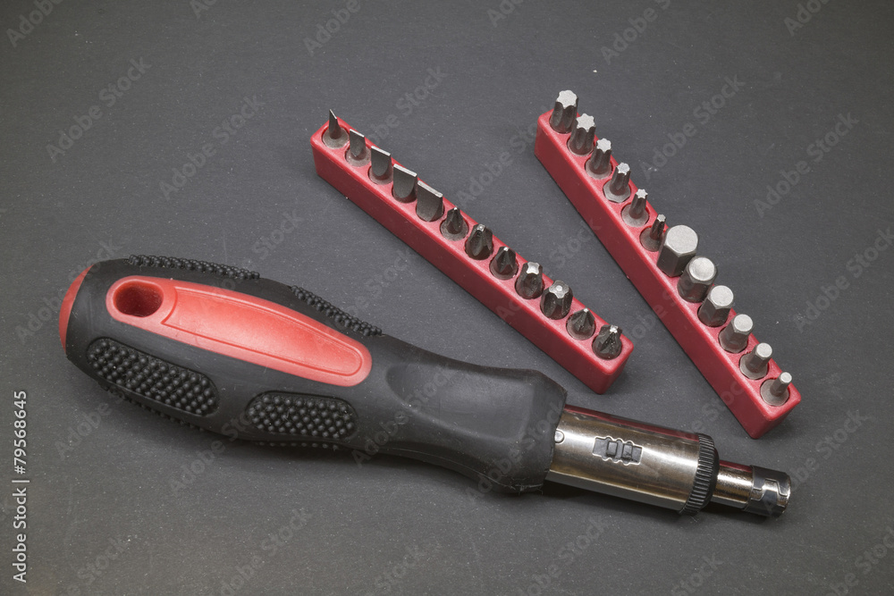 Obraz premium Screwdriver with interchangeable bits