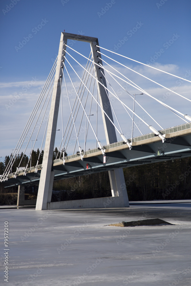 Naklejka premium Bridge over Frozen River in Sweden
