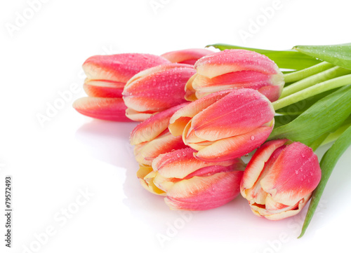 Fototapeta Naklejka Na Ścianę i Meble -  Colorful tulip bouquet with water dew
