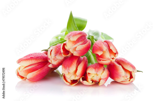 Fototapeta Naklejka Na Ścianę i Meble -  Colorful tulip bouquet with water dew
