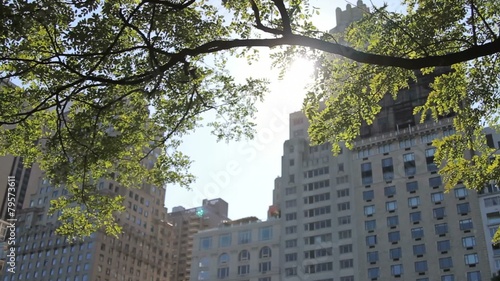 Buildings and tree, Central Park, New York, USA