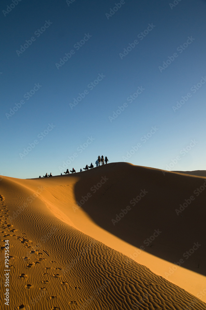 Camel caravan moving in Sahara desert.
