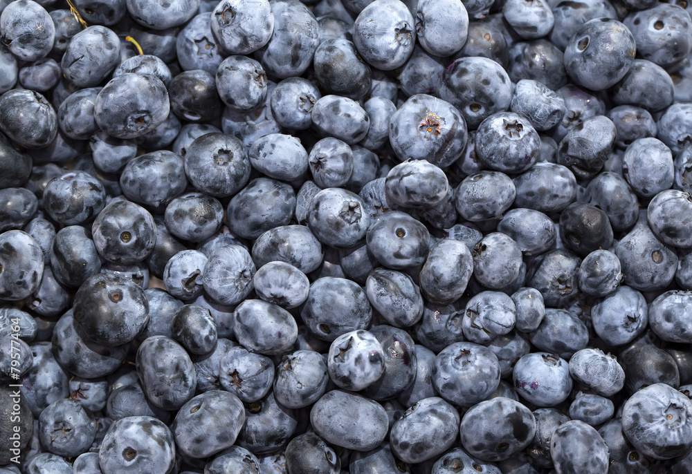 blueberry background eating, food freshness fruit gourme blueberry background eating, food freshness fruit gourme